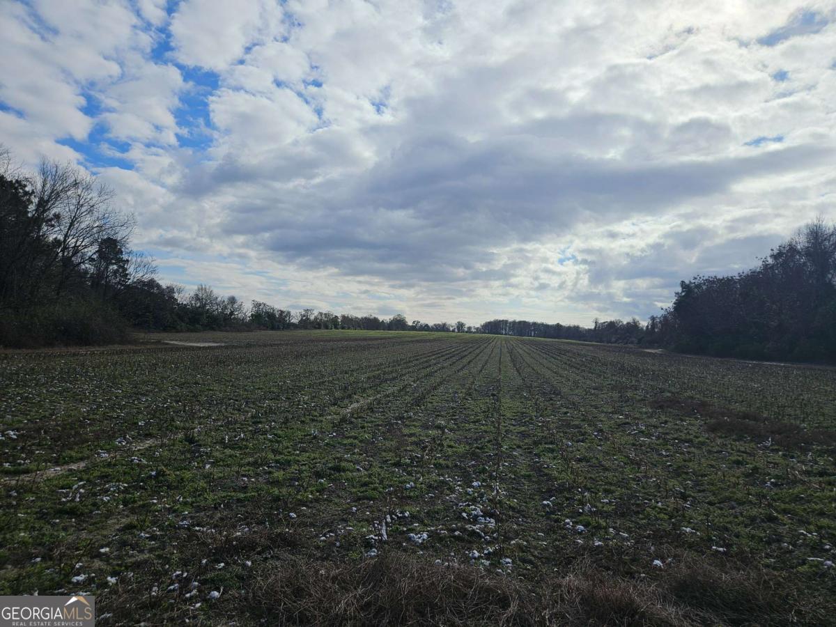 0 Garrett Road Ashburn, GA 31714 - Photo 16 of 16