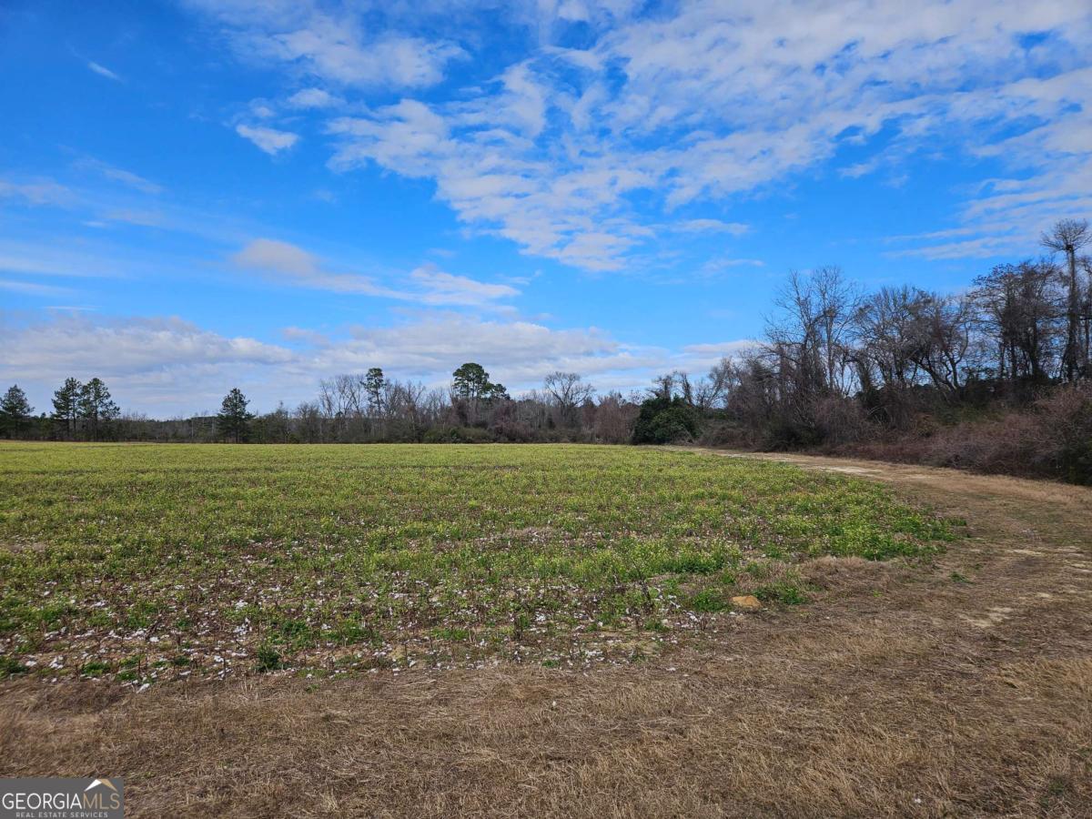 0 Garrett Road Ashburn, GA 31714 - Photo 3 of 16