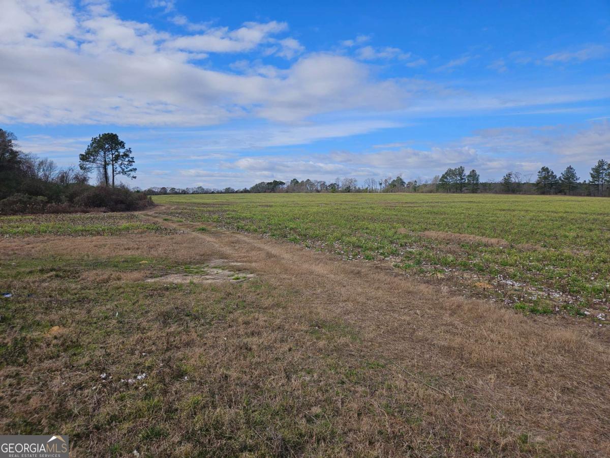 0 Garrett Road Ashburn, GA 31714 - Photo 4 of 16