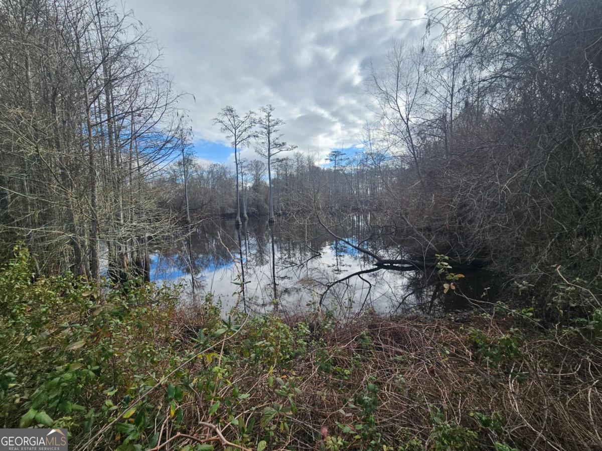 0 Garrett Road Ashburn, GA 31714 - Photo 6 of 16