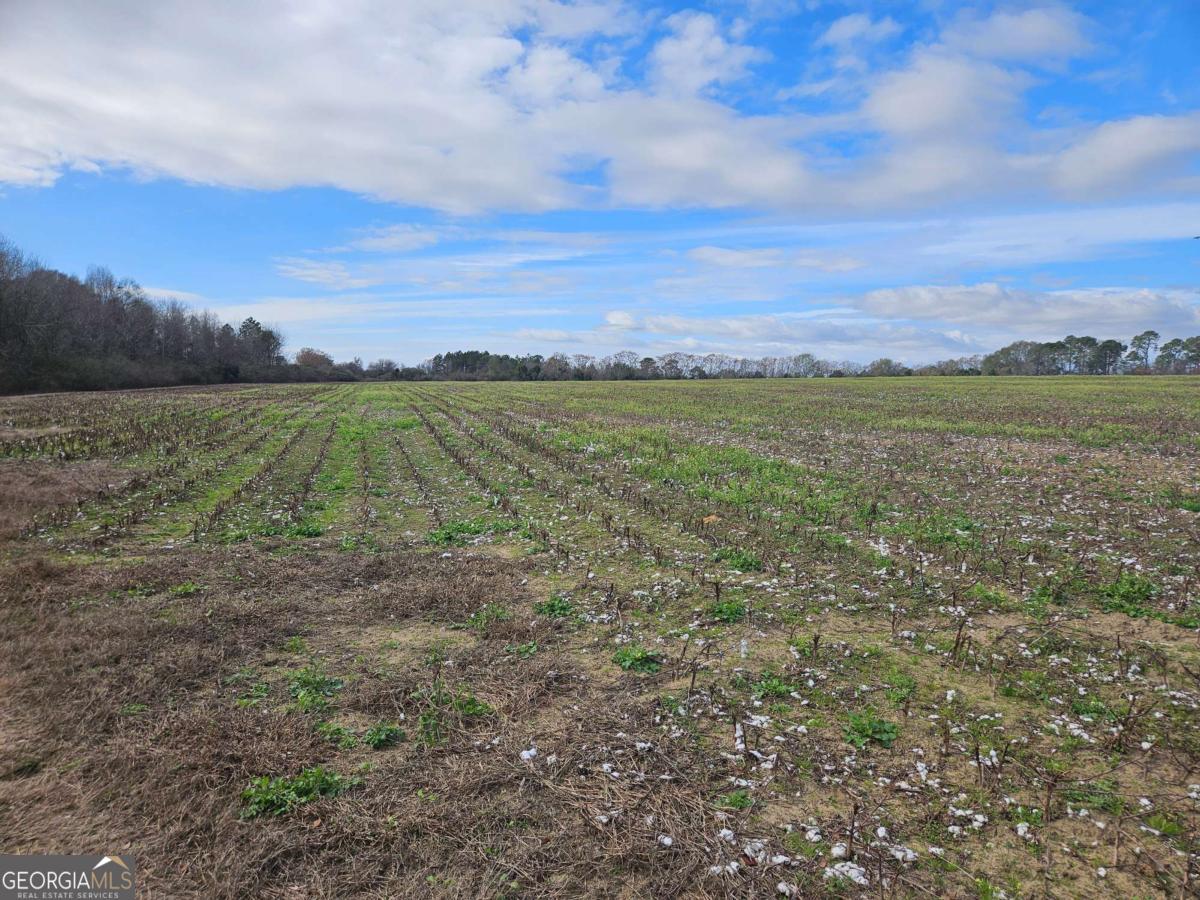 0 Garrett Road Ashburn, GA 31714 - Photo 8 of 16