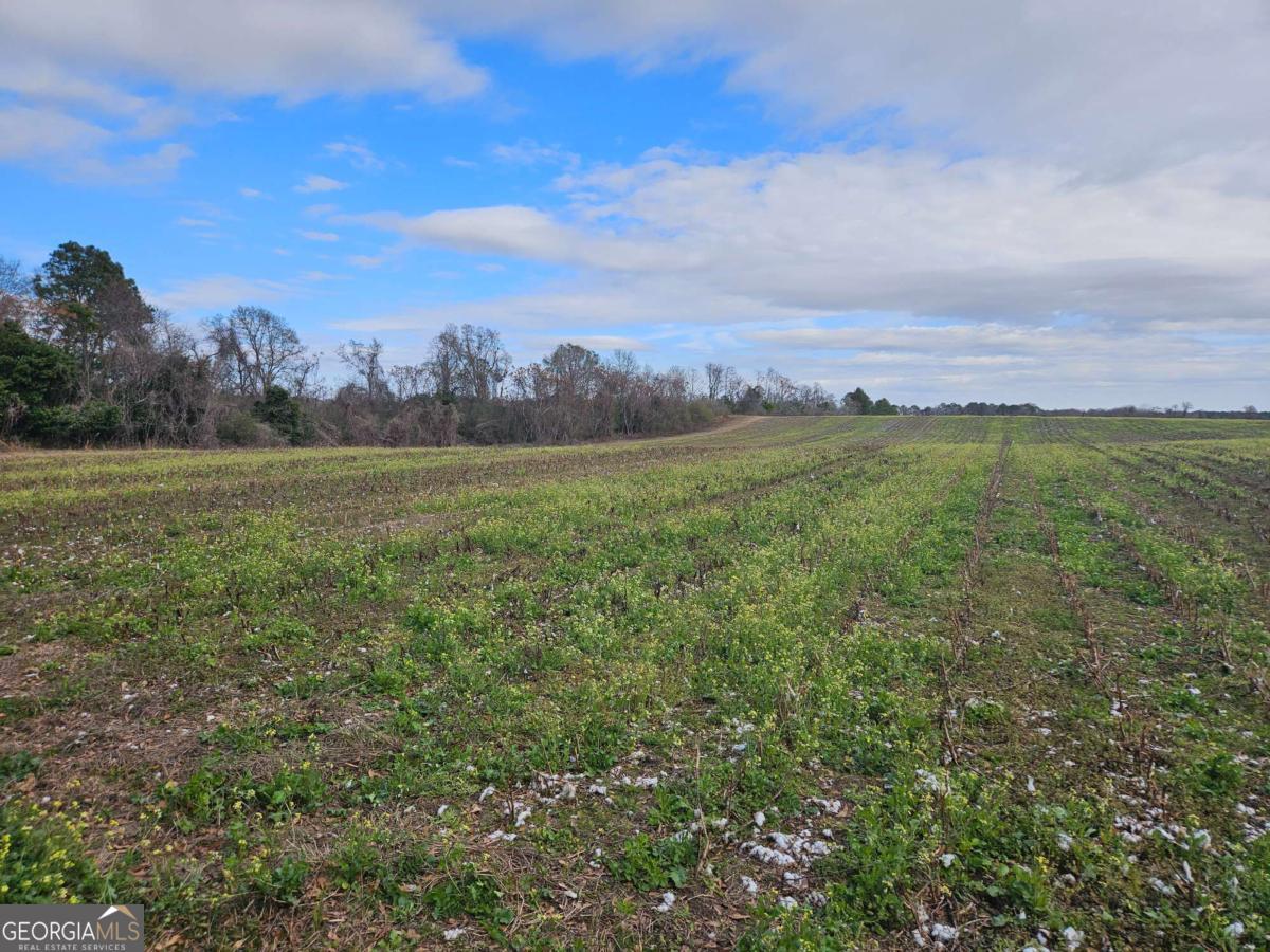 0 Garrett Road Ashburn, GA 31714 - Photo 9 of 16