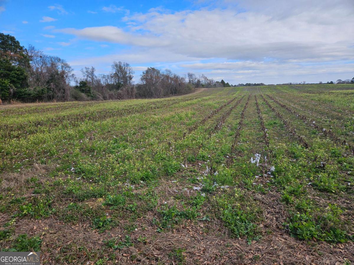 0 Garrett Road Ashburn, GA 31714 - Photo 10 of 16