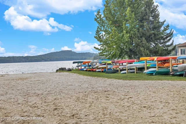 a small garden covered with tall trees