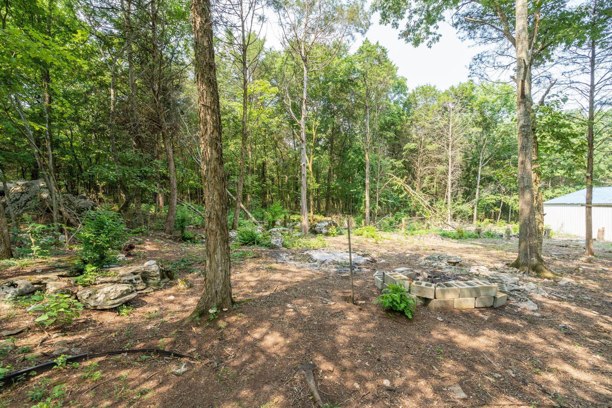 4990 Ash Hill Road Spring Hill, TN 37174 - Photo 43 of 50 Gallery Image 43