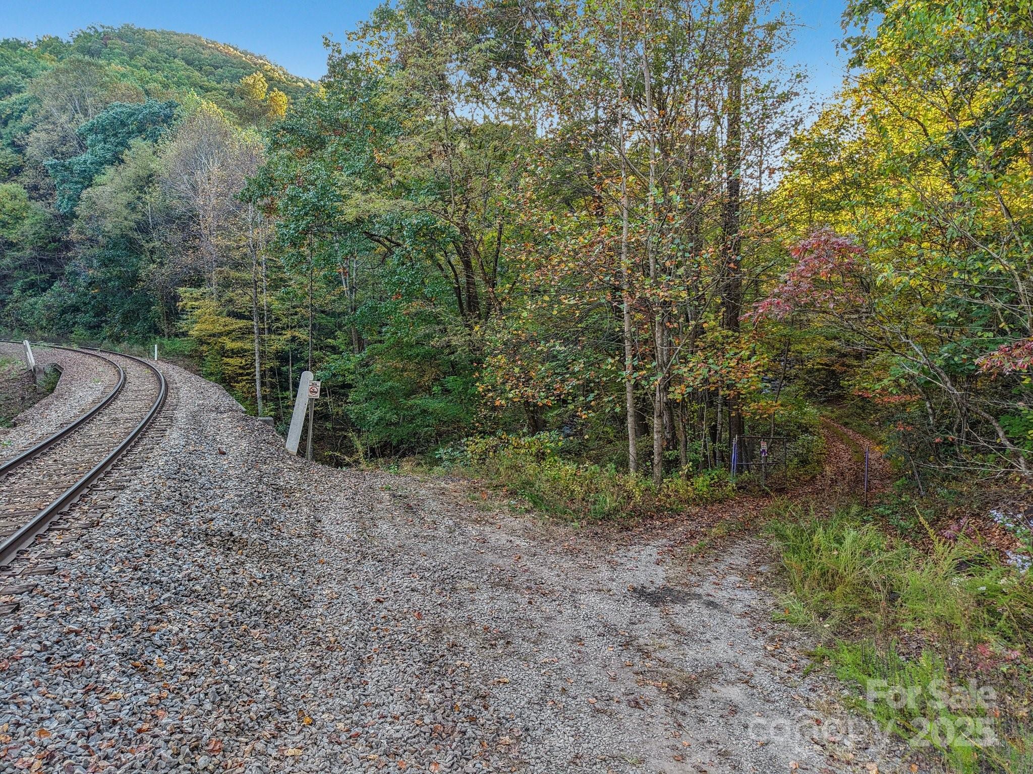 Tbd Graphite Road Old Fort, NC 28762 - Photo 12 of 14 a view of a forest filled with trees