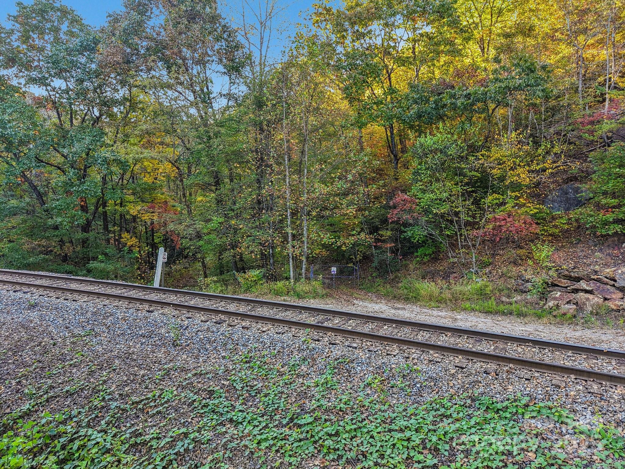 Tbd Graphite Road Old Fort, NC 28762 - Photo 13 of 14 a view of a yard with large trees