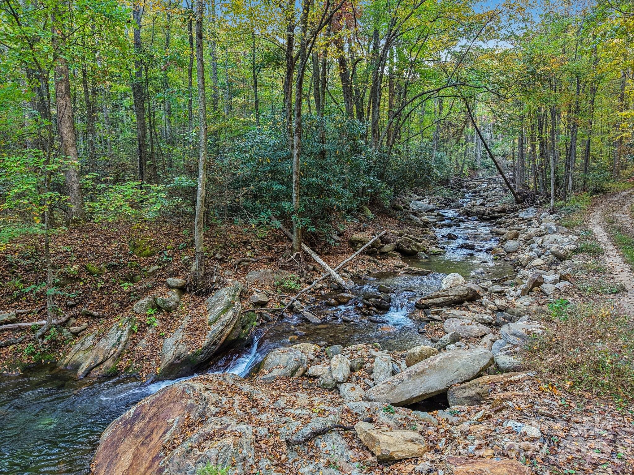 Tbd Graphite Road Old Fort, NC 28762 - Photo 3 of 14 a view of outdoor space and yard