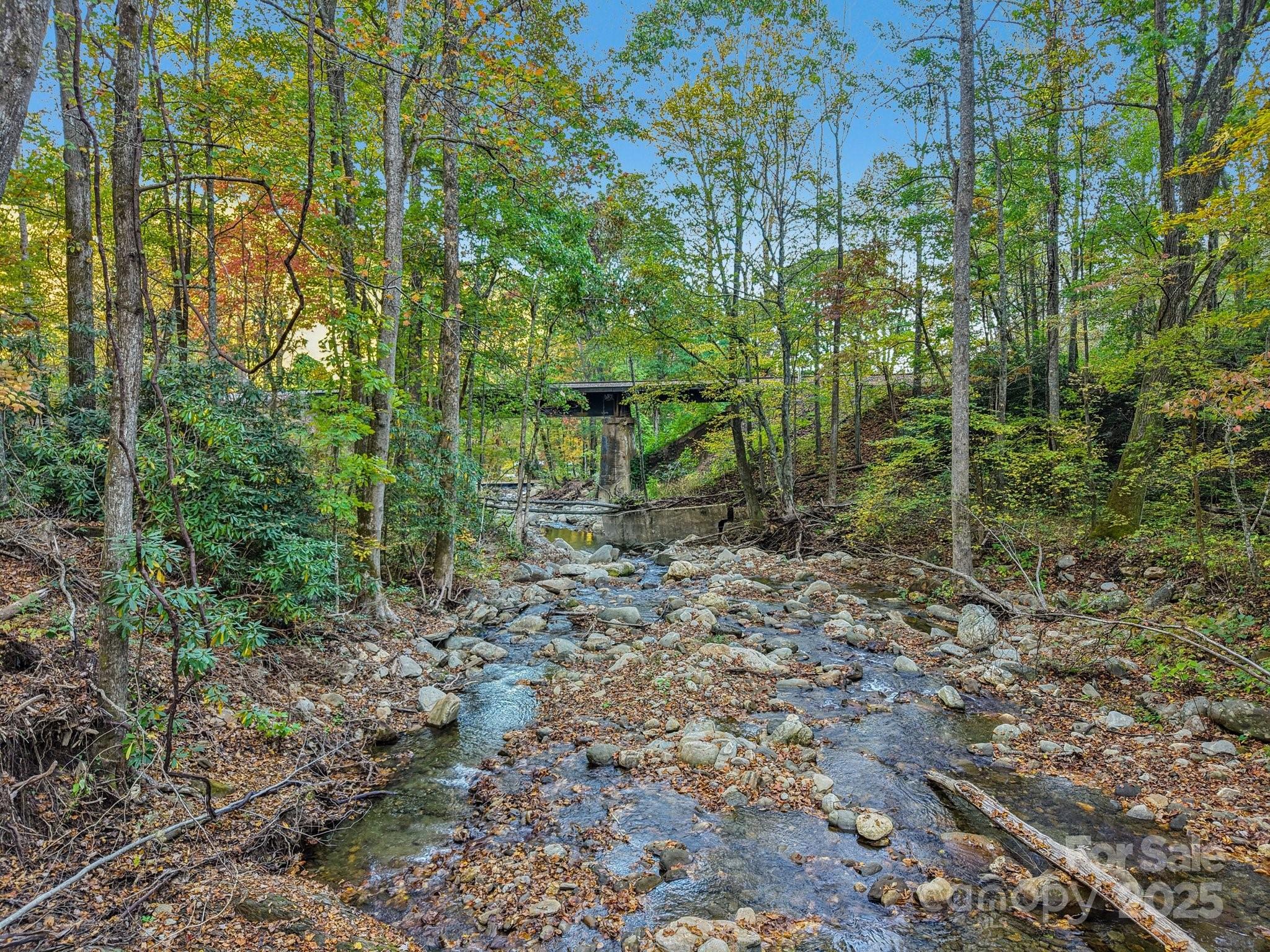 Tbd Graphite Road Old Fort, NC 28762 - Photo 4 of 14 a view of a forest with a tree