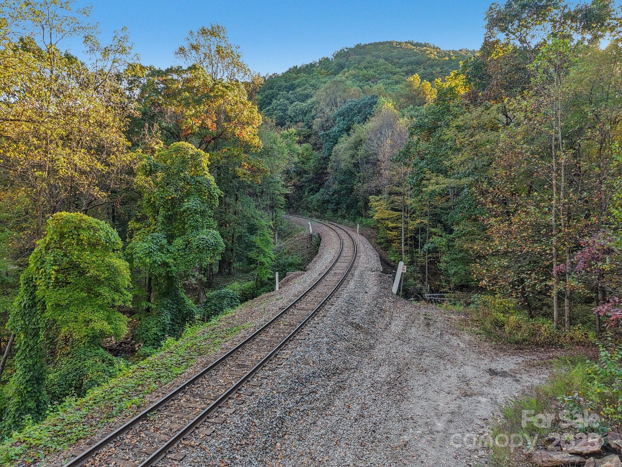 Tbd Graphite Road Old Fort, NC 28762 - Photo 5 of 14 a view of a yard with large trees