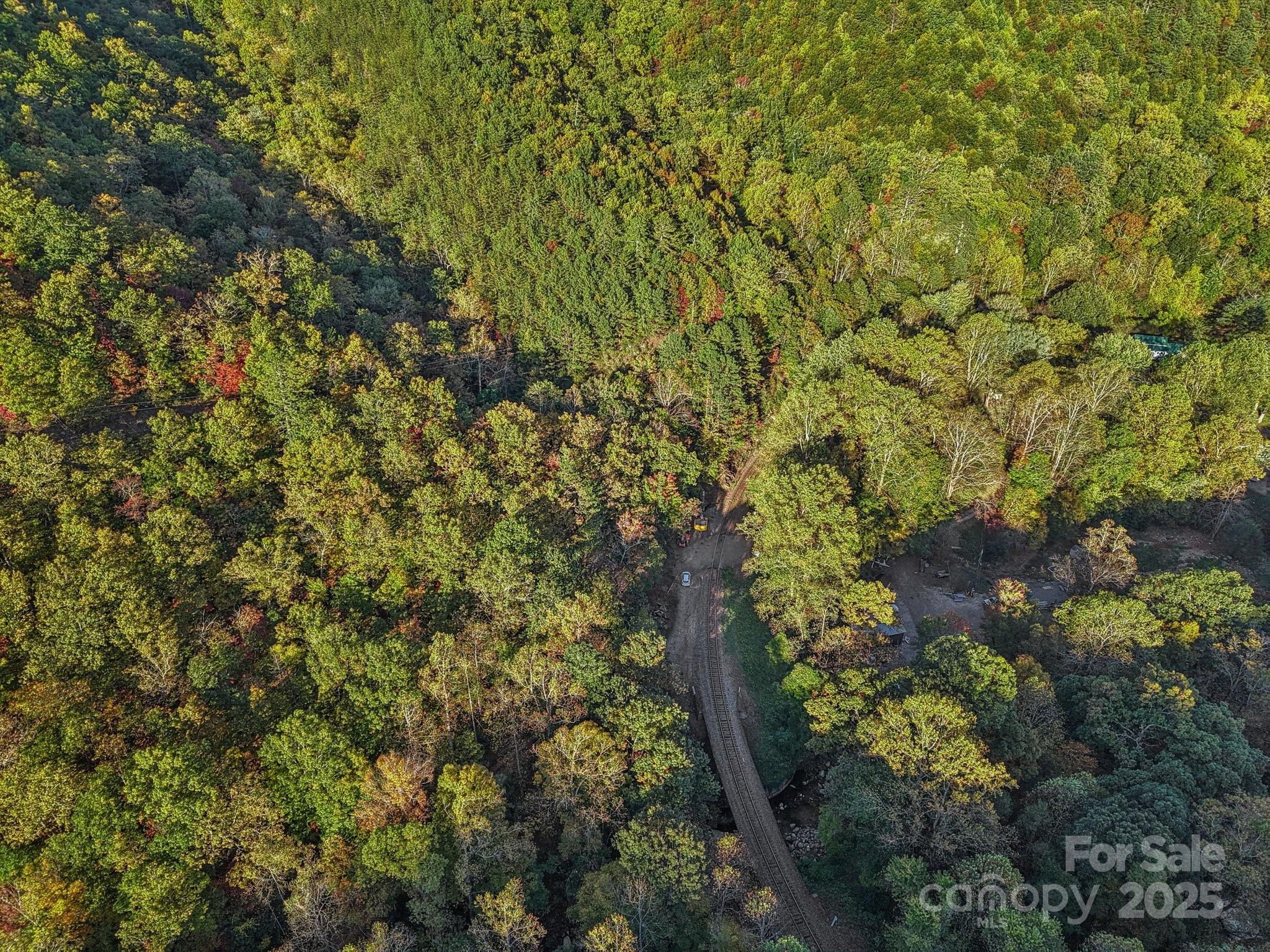 Tbd Graphite Road Old Fort, NC 28762 - Photo 6 of 14 a view of a tree