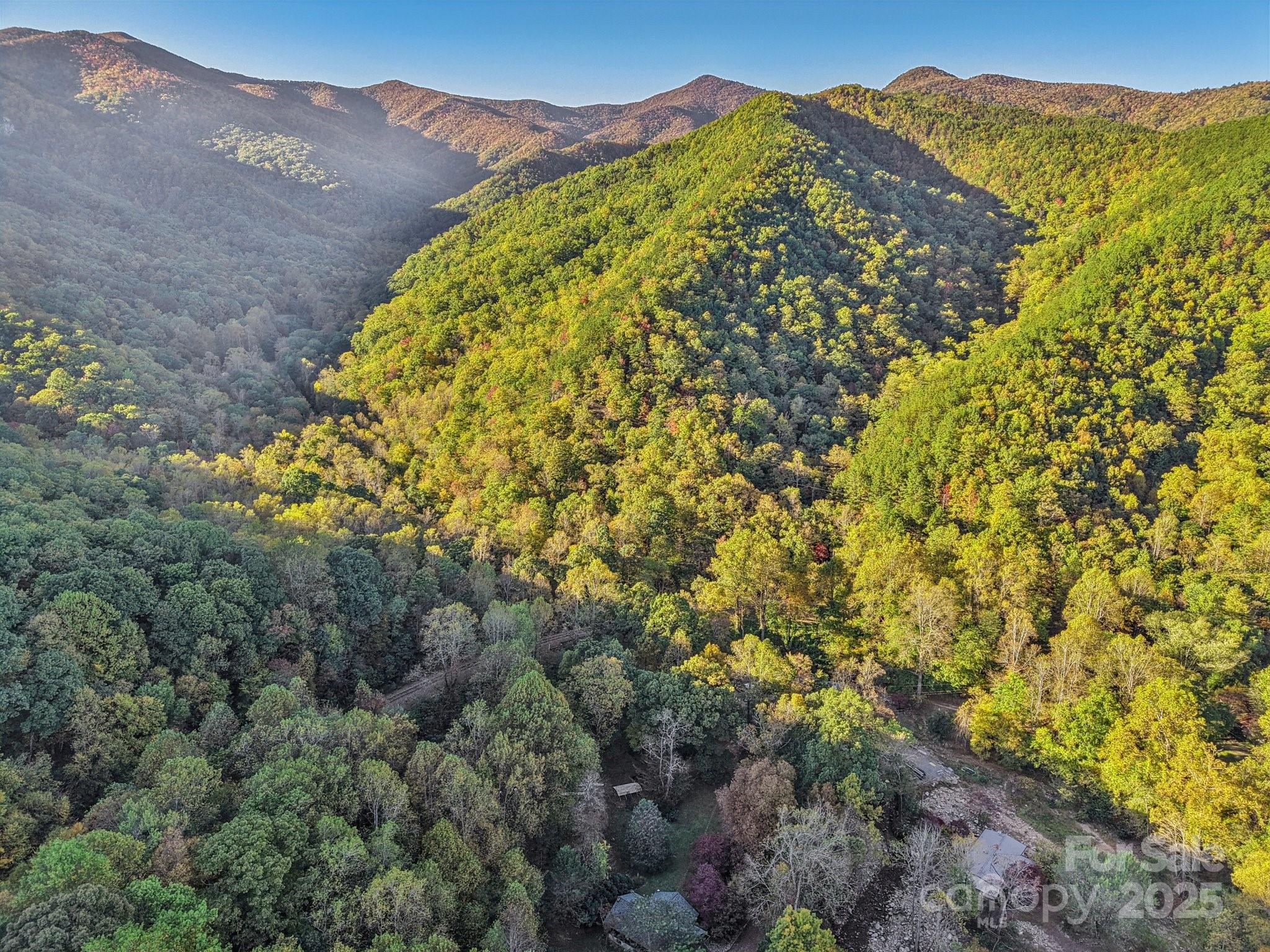 Tbd Graphite Road Old Fort, NC 28762 - Photo 10 of 14 a view of a lush green hillside and a building