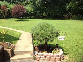 320 Carlton Road Bristol, TN 37620 - Photo 17 of 24 Photo 17