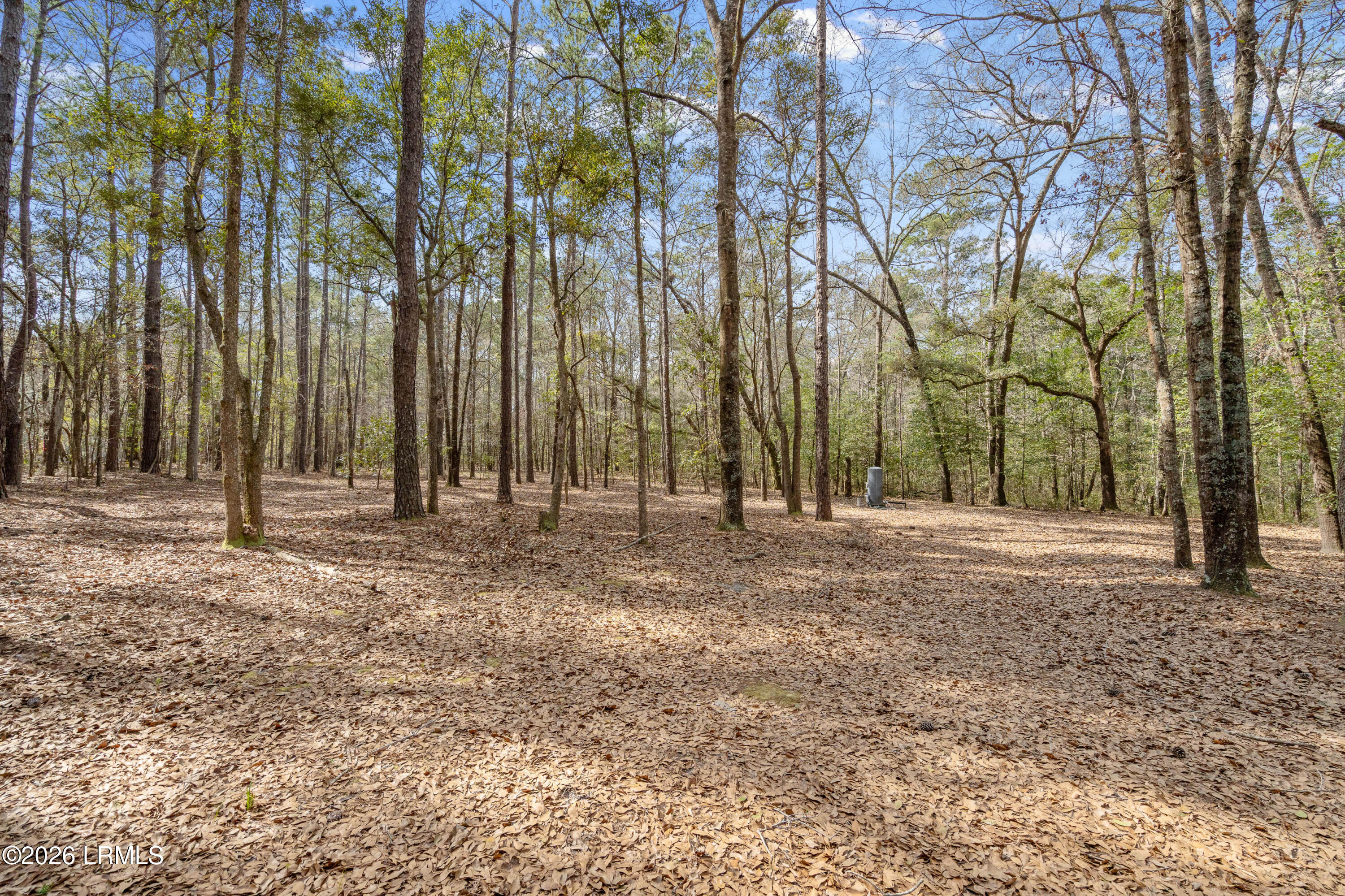 2163 Langfordville Road Ridgeland, SC 29936 - Photo 5 of 16 2163 Langfordville-2