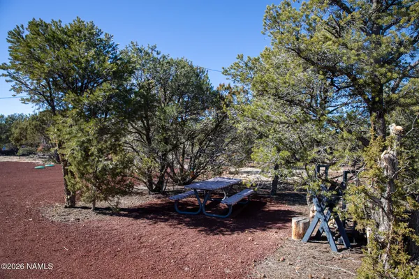 a view of a yard with a tree
