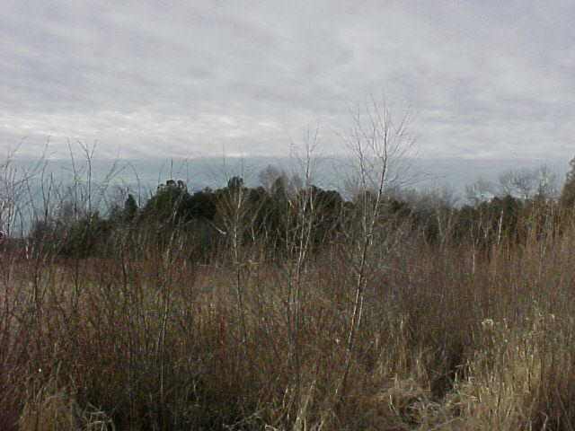 0 East Swamp Road Forestville, WI 54213 - Photo 1 of 1 Main View