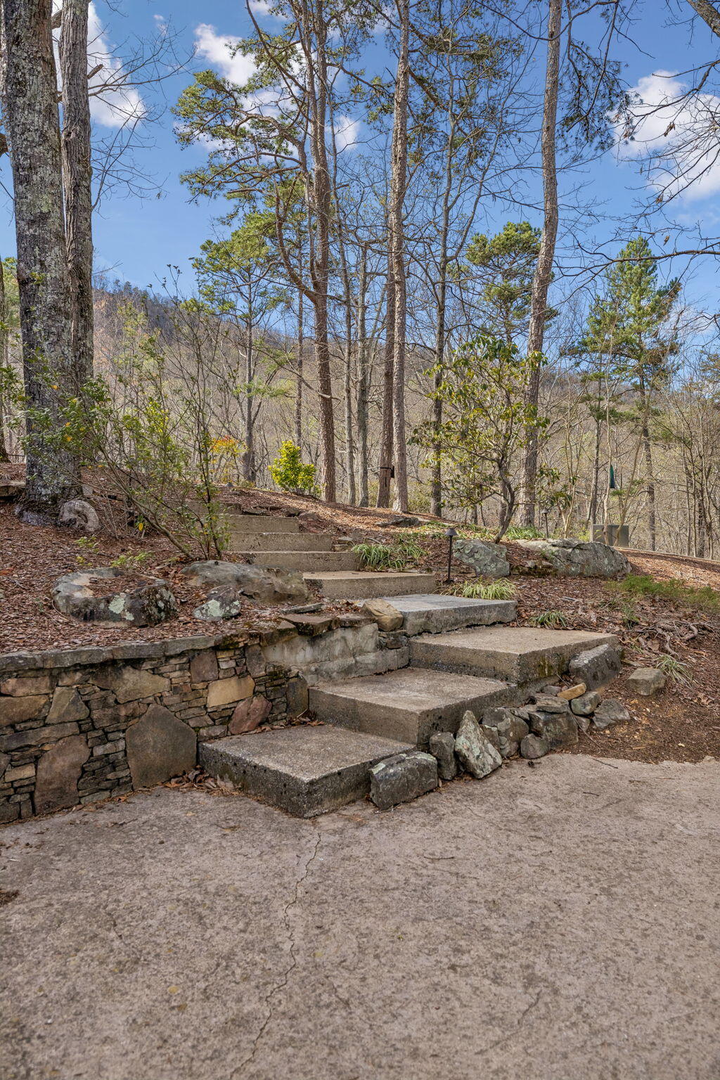 1558 Powder Springs Circle Flintstone, GA 30725 - Photo 59 of 73 63