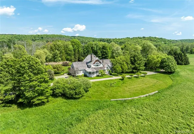 a view of a big yard with potted plants and large tree