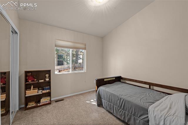 4663 Fencer Road Colorado Springs, CO 80911 - Photo 20 of 38