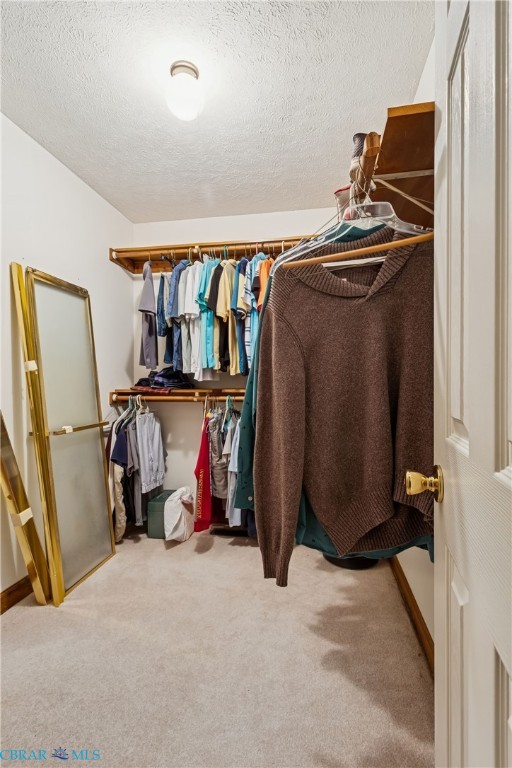 6253 Ark Road Gloucester, VA 23061 - Photo 26 of 38 Walk in closet with light carpet