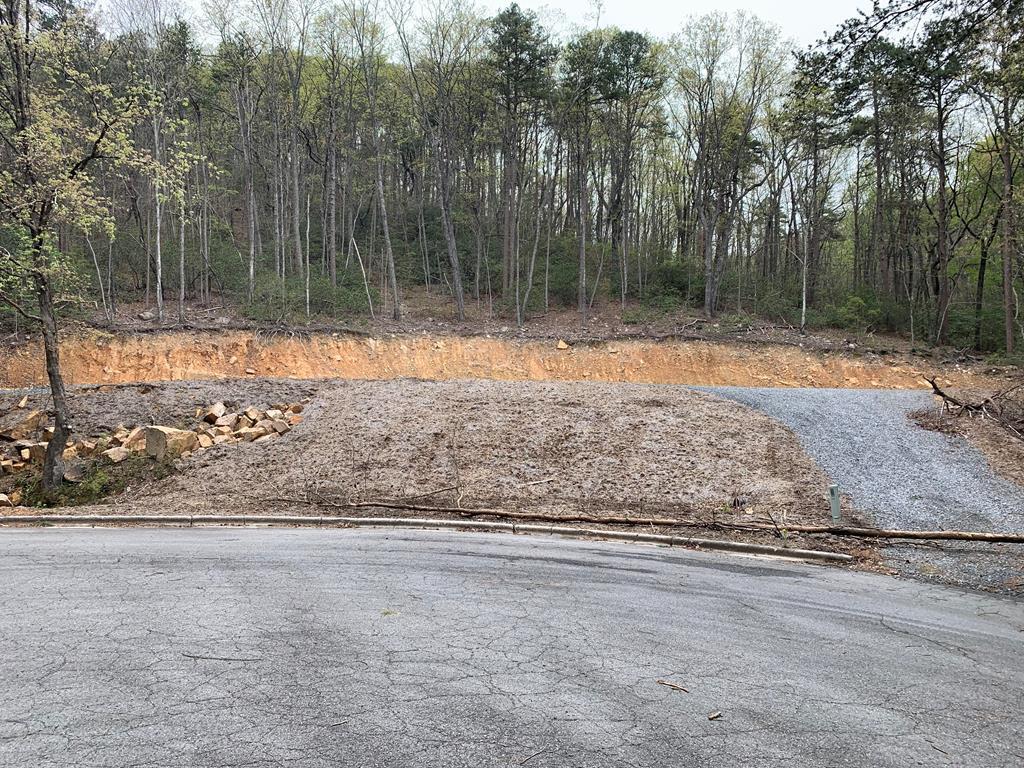0 North Ravine Way Dalton, GA 30720 - Photo 2 of 12 Gallery Image 2