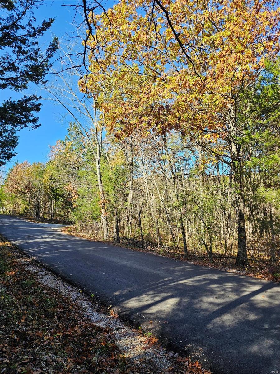 0 Pratt Road Cadet, MO 63630 - Photo 2 of 5