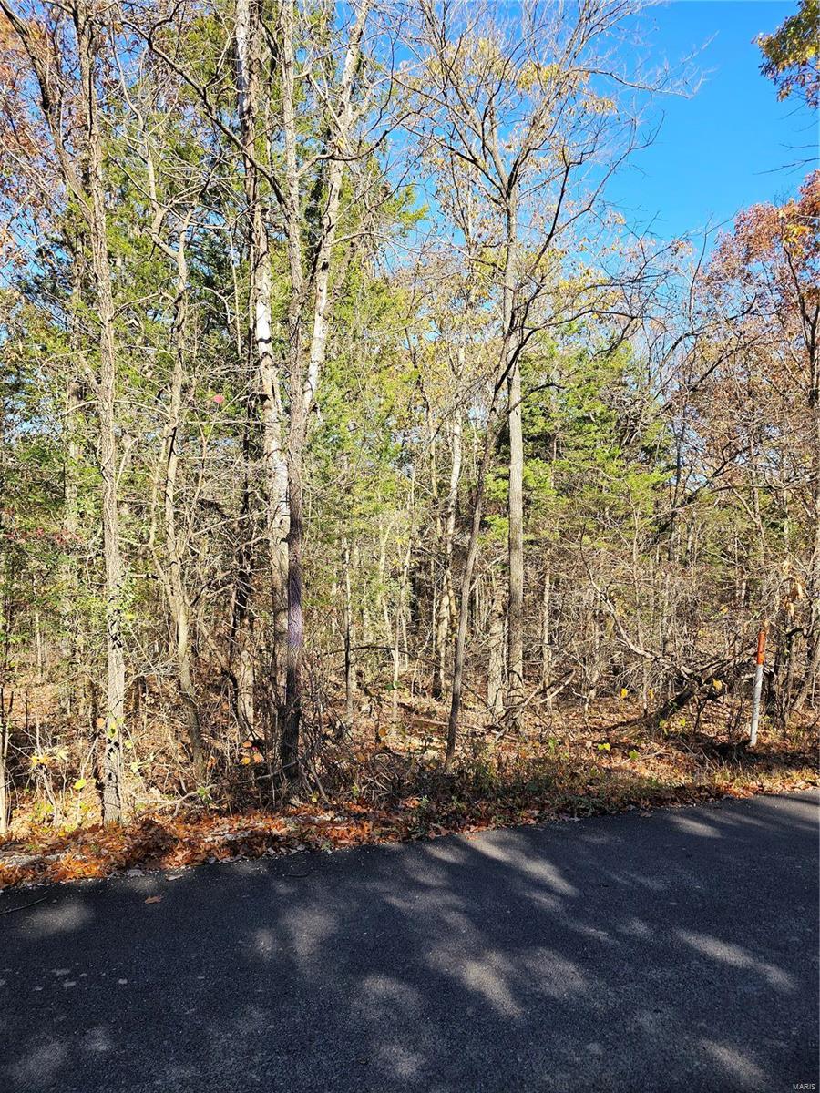 0 Pratt Road Cadet, MO 63630 - Photo 3 of 5