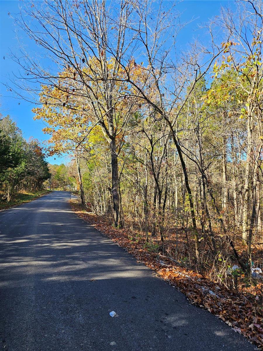 0 Pratt Road Cadet, MO 63630 - Photo 4 of 5