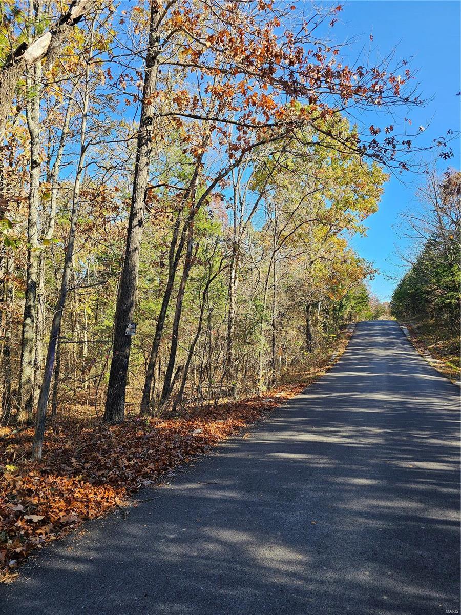 0 Pratt Road Cadet, MO 63630 - Photo 5 of 5