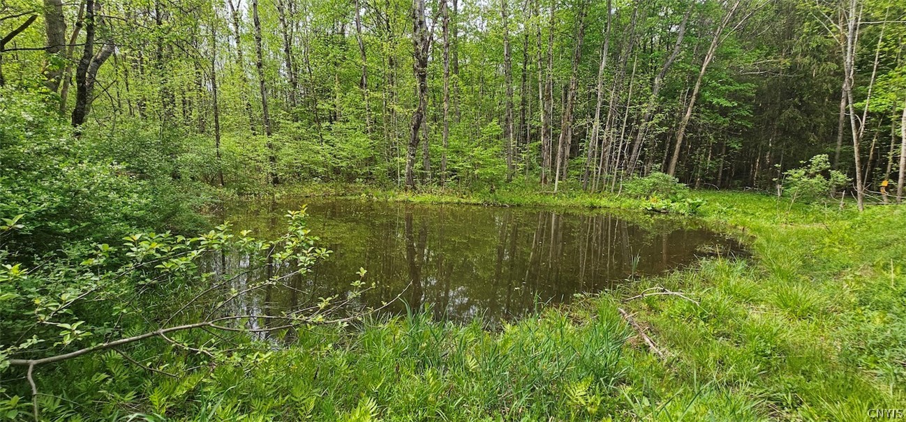 Sprouls Road Cortland, NY 13045 - Photo 26 of 48