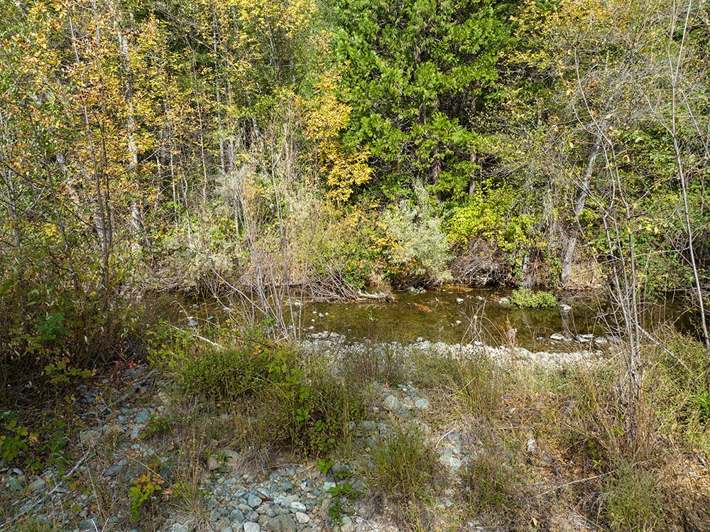 7910 Deer Creek Road Selma, OR 97538 - Photo 45 of 51 43