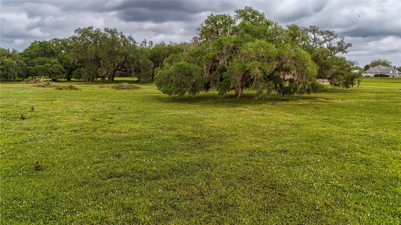 1207 Mill Road Angleton, TX 77515 - Photo 3 of 19 a view of a field with an trees