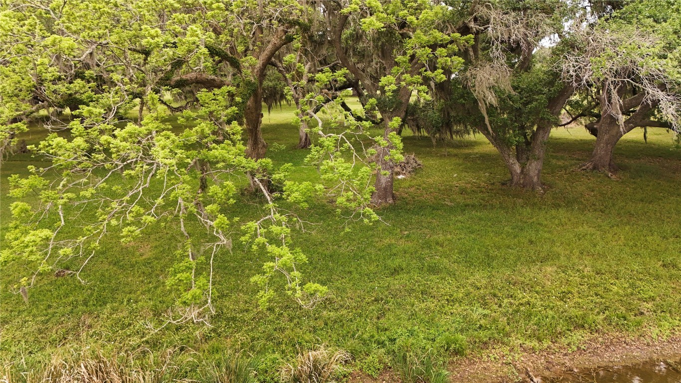 1207 Mill Road Angleton, TX 77515 - Photo 8 of 19 a view of a yard with a tree