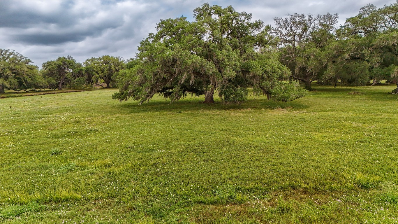 1207 Mill Road Angleton, TX 77515 - Photo 10 of 19 a view of a field with an trees