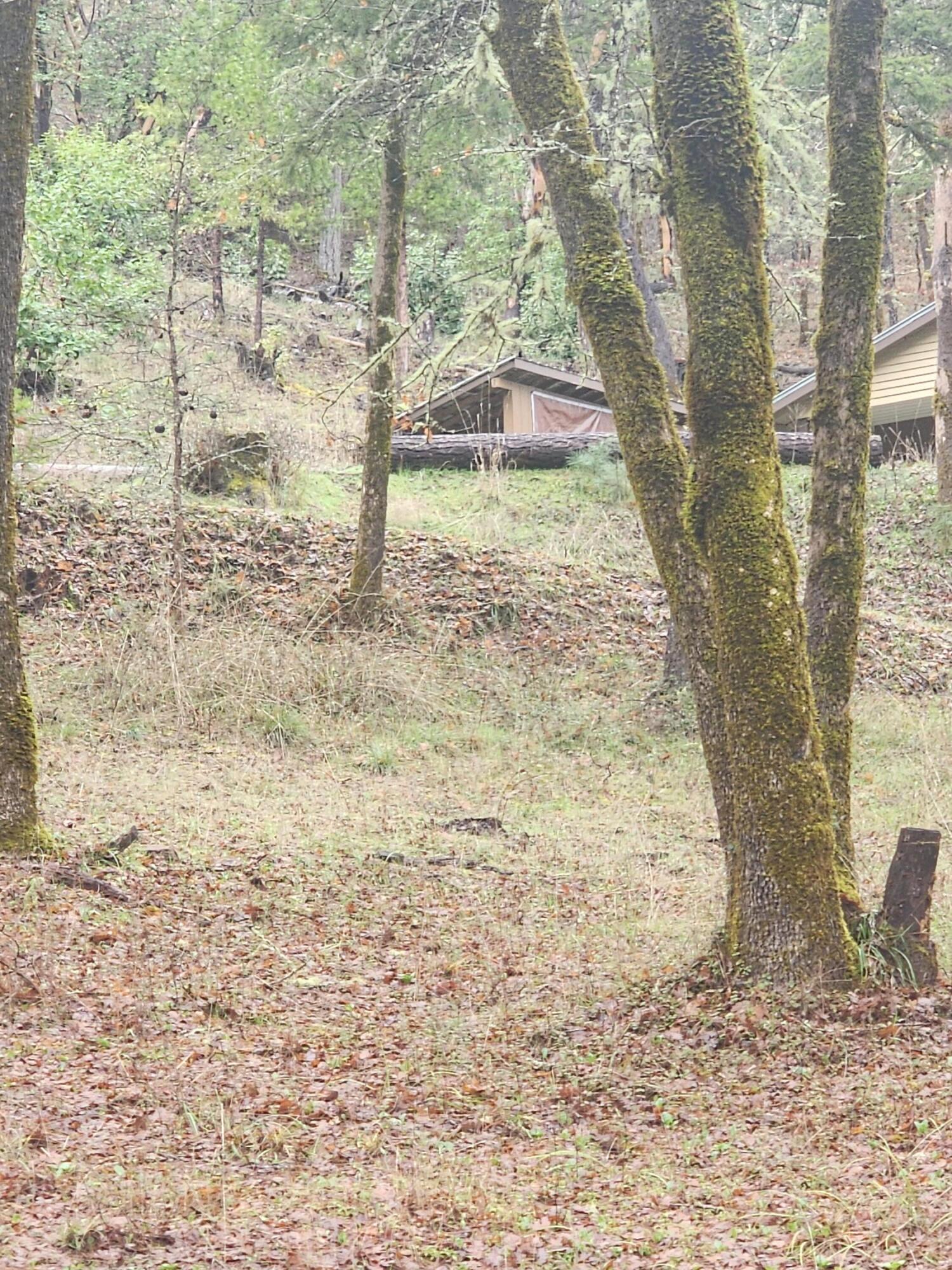 11238 East Evans Creek Road Rogue River, OR 97537 - Photo 24 of 29 a view of a yard with wooden fence