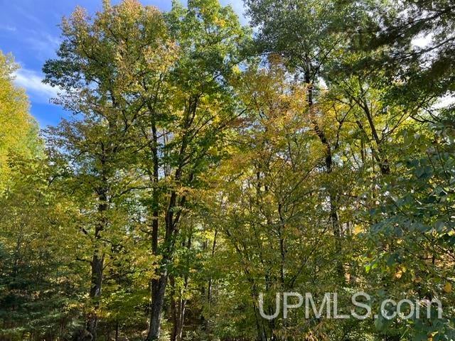 W8718 Dow Dam Road Amberg, WI 54102 - Photo 44 of 52 Gallery Image 44
