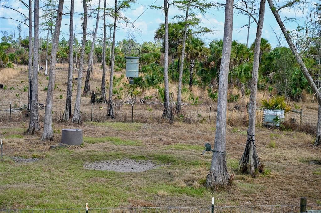 Black Burn Road Naples, FL 34117 - Photo 15 of 39 Gallery Image 15