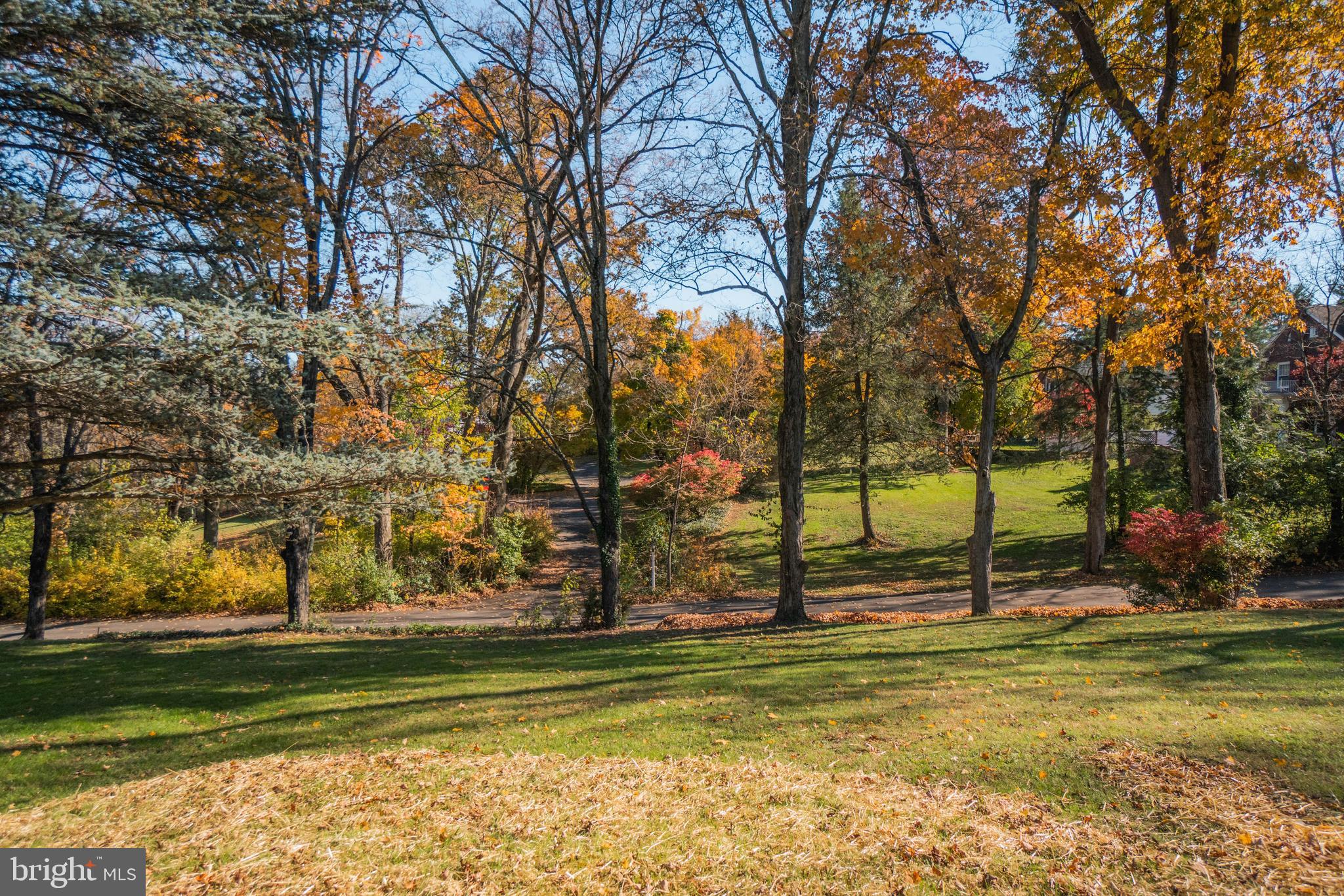 515 Rosedale Drive Pottstown, PA 19464 - Photo 45 of 52 front yard view from living room fall