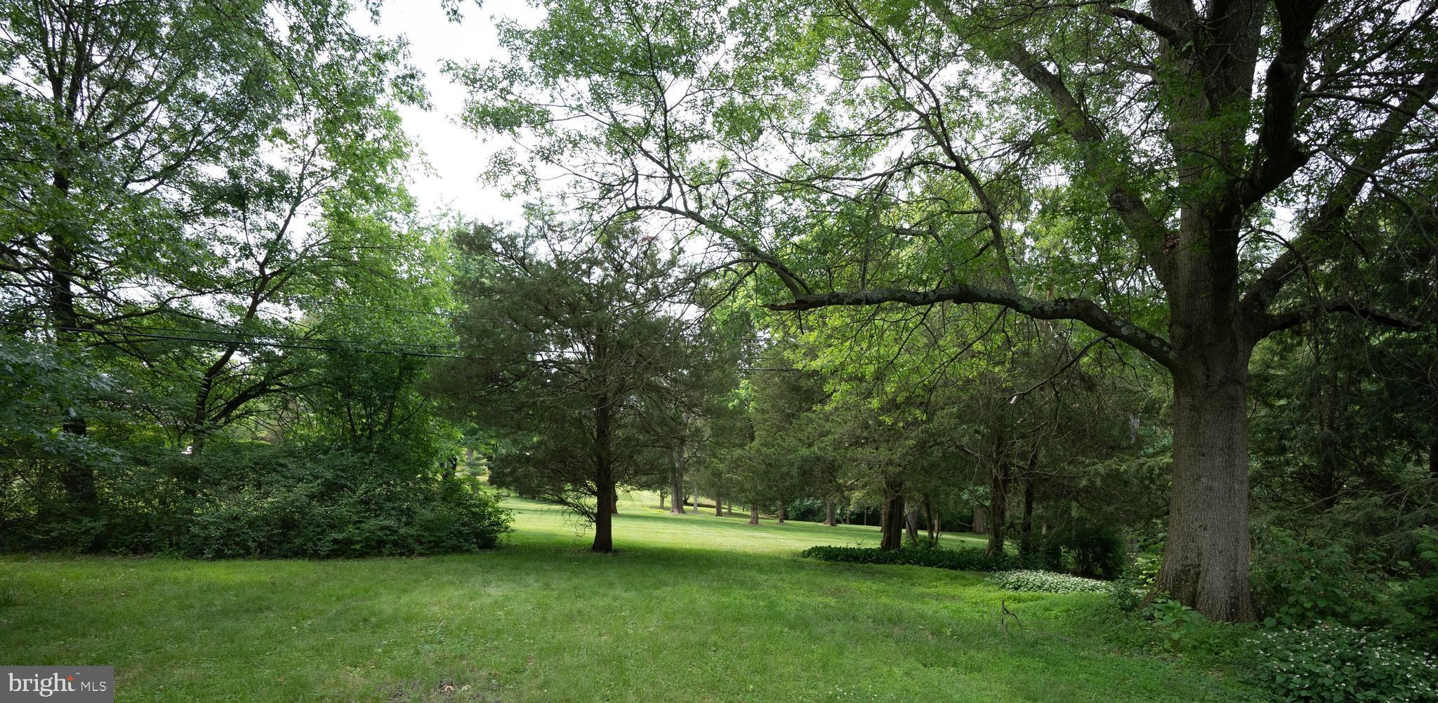 515 Rosedale Drive Pottstown, PA 19464 - Photo 46 of 52 back yard view from kitchen summer