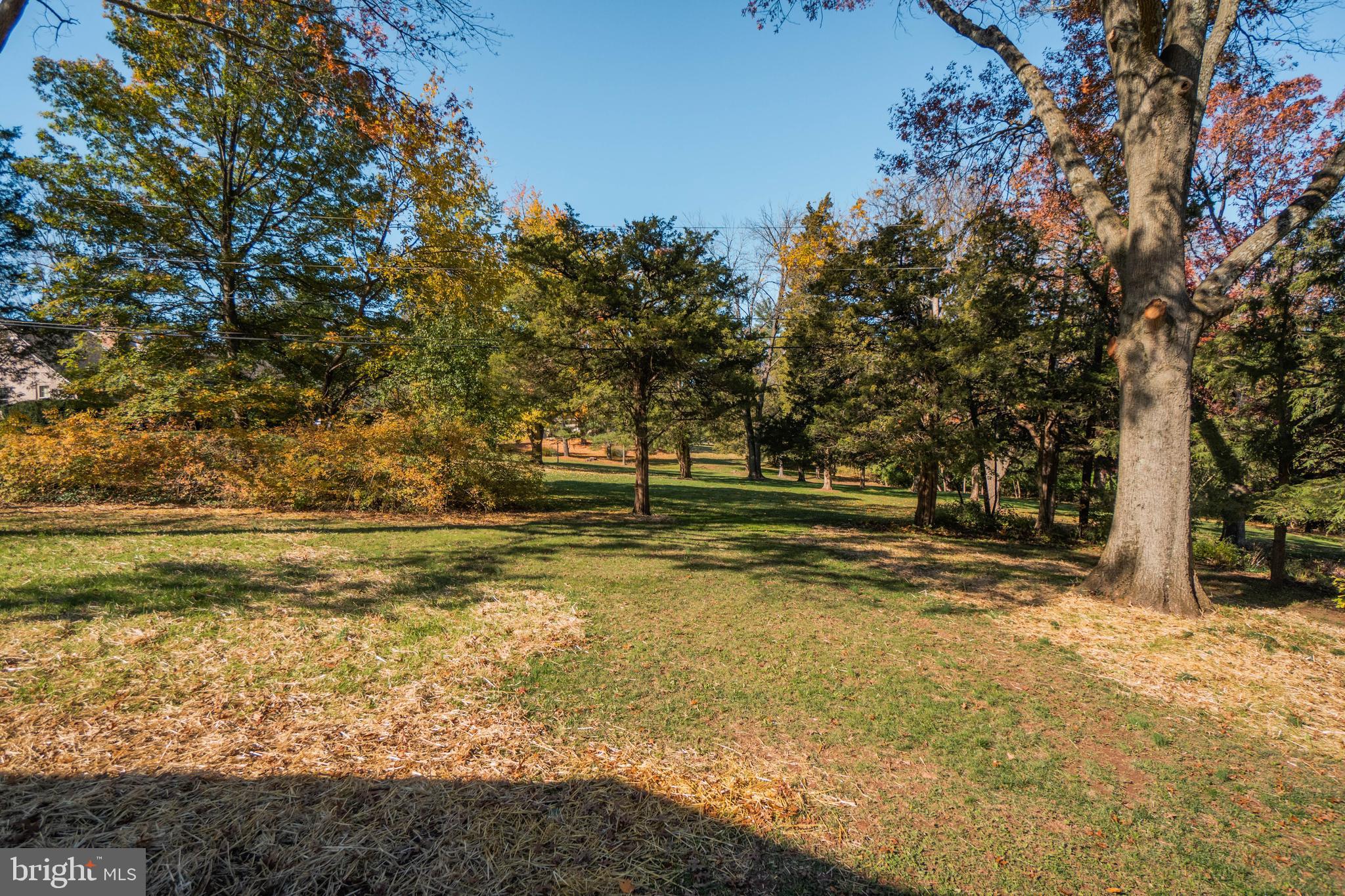515 Rosedale Drive Pottstown, PA 19464 - Photo 47 of 52 back yard view from kitchen fall