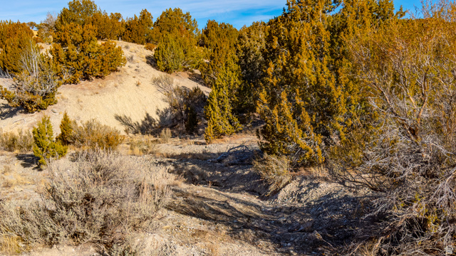 0 County Road 28 Levan, UT 84639 - Photo 53 of 207