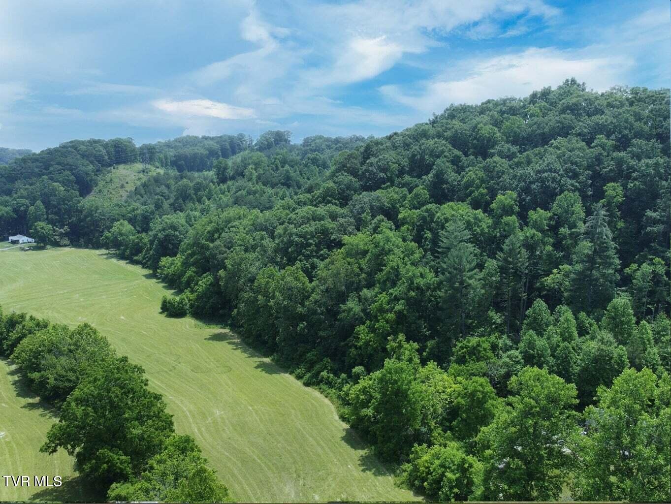 0 Lone Star Road Kingsport, TN 37660 - Photo 13 of 25 LS4