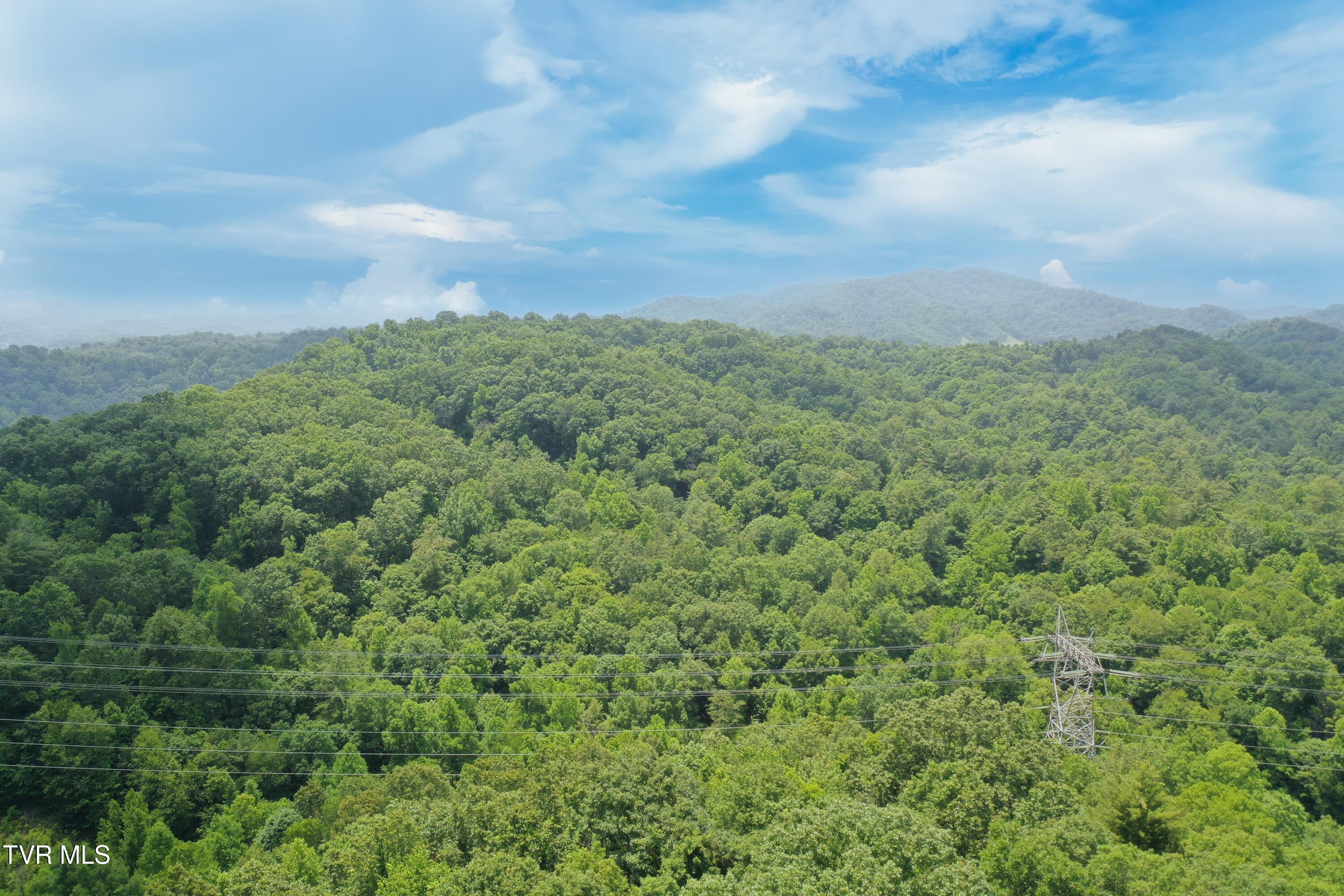 0 Lone Star Road Kingsport, TN 37660 - Photo 22 of 25 DJI_0198