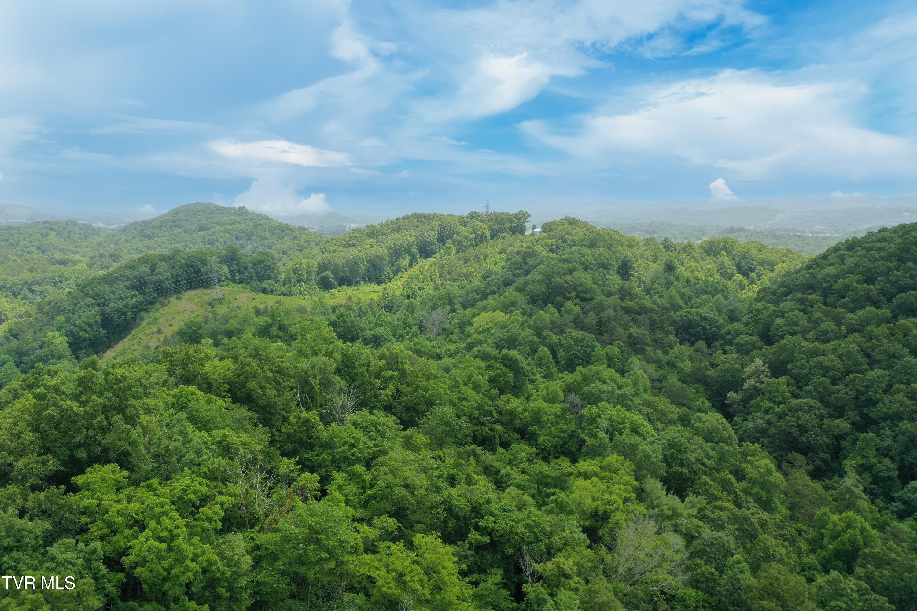 0 Lone Star Road Kingsport, TN 37660 - Photo 25 of 25 DJI_0195