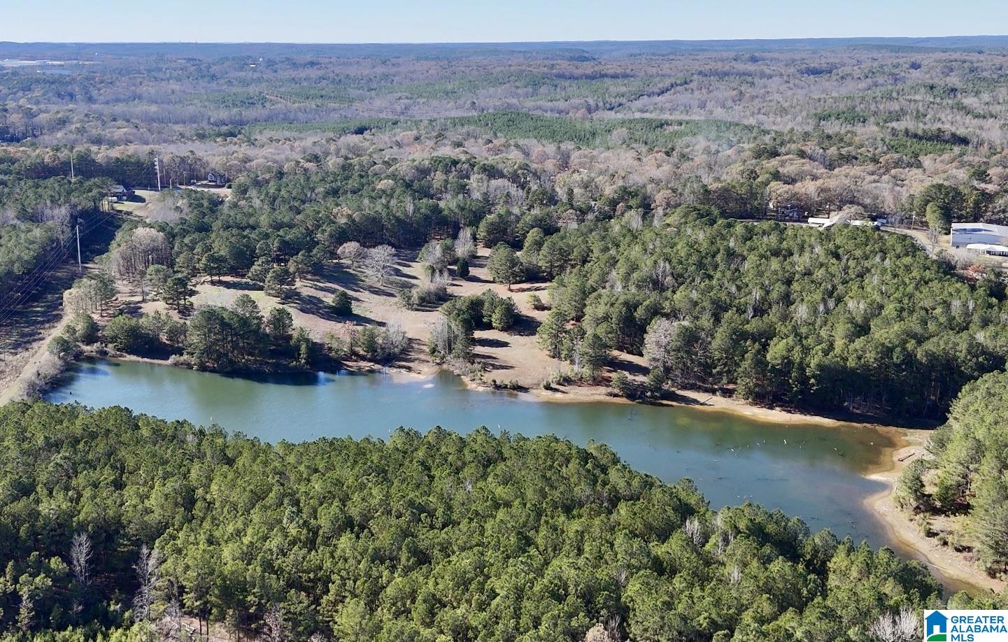 10000 Eastern Valley Road, Unit 10000 West Blocton, AL 35184 - Photo 4 of 21