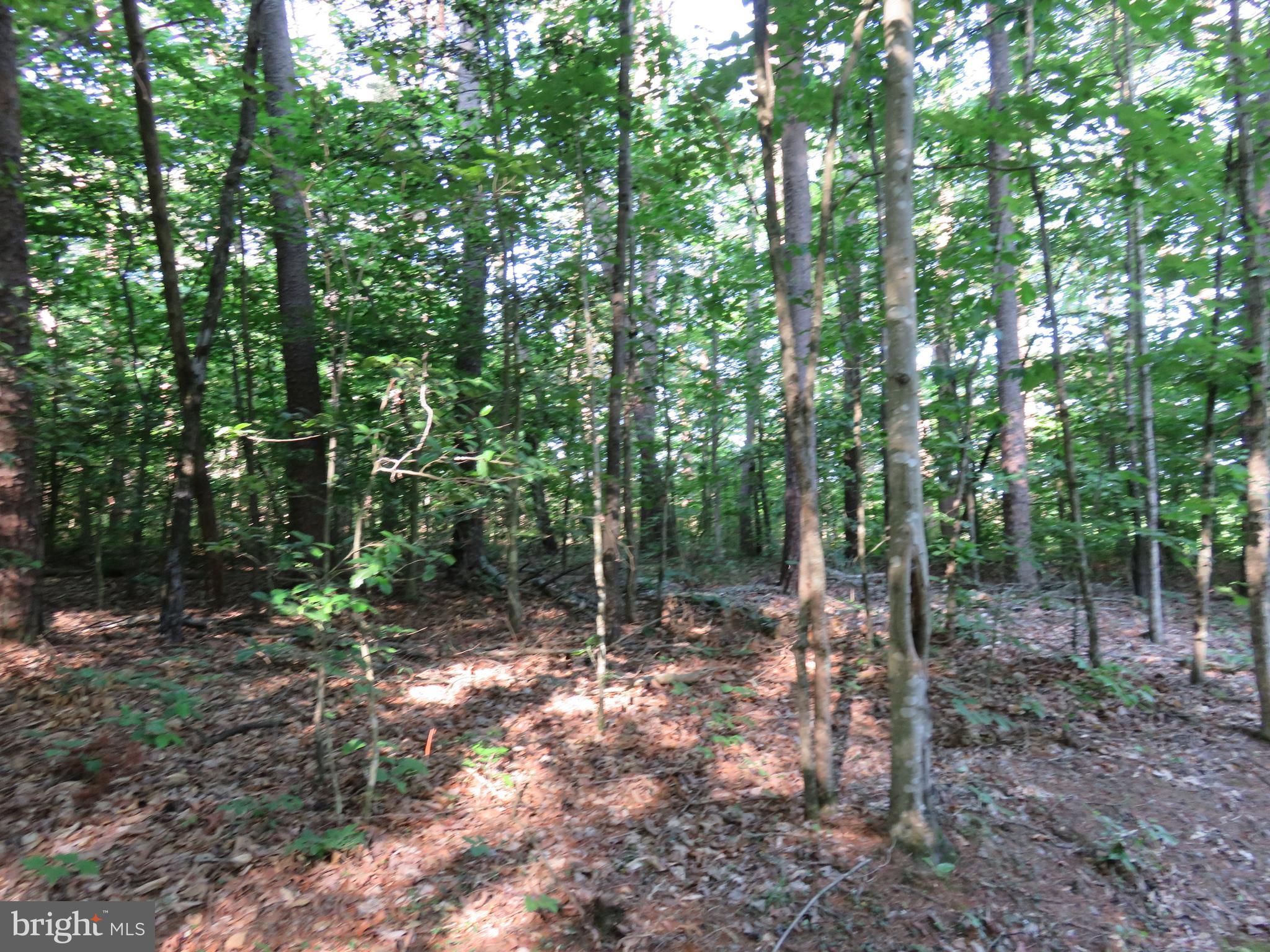3731 Breaknock Road Bumpass, VA 23024 - Photo 1 of 44 Gallery Image 1