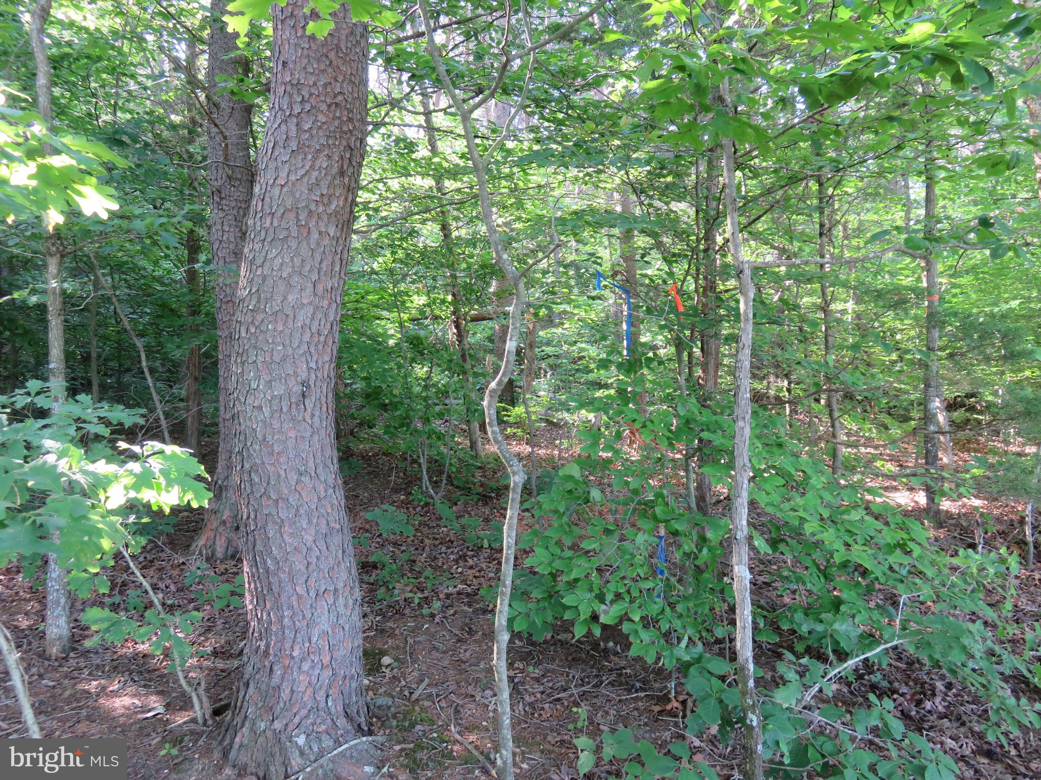 3731 Breaknock Road Bumpass, VA 23024 - Photo 11 of 44 Gallery Image 11