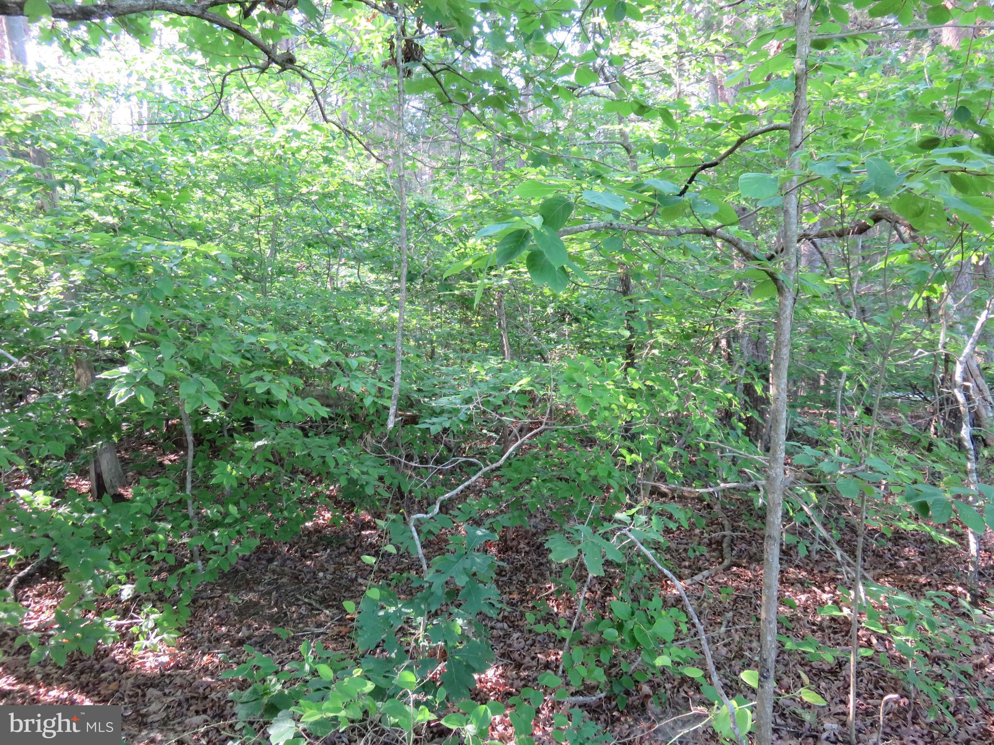 3731 Breaknock Road Bumpass, VA 23024 - Photo 12 of 44 Gallery Image 12