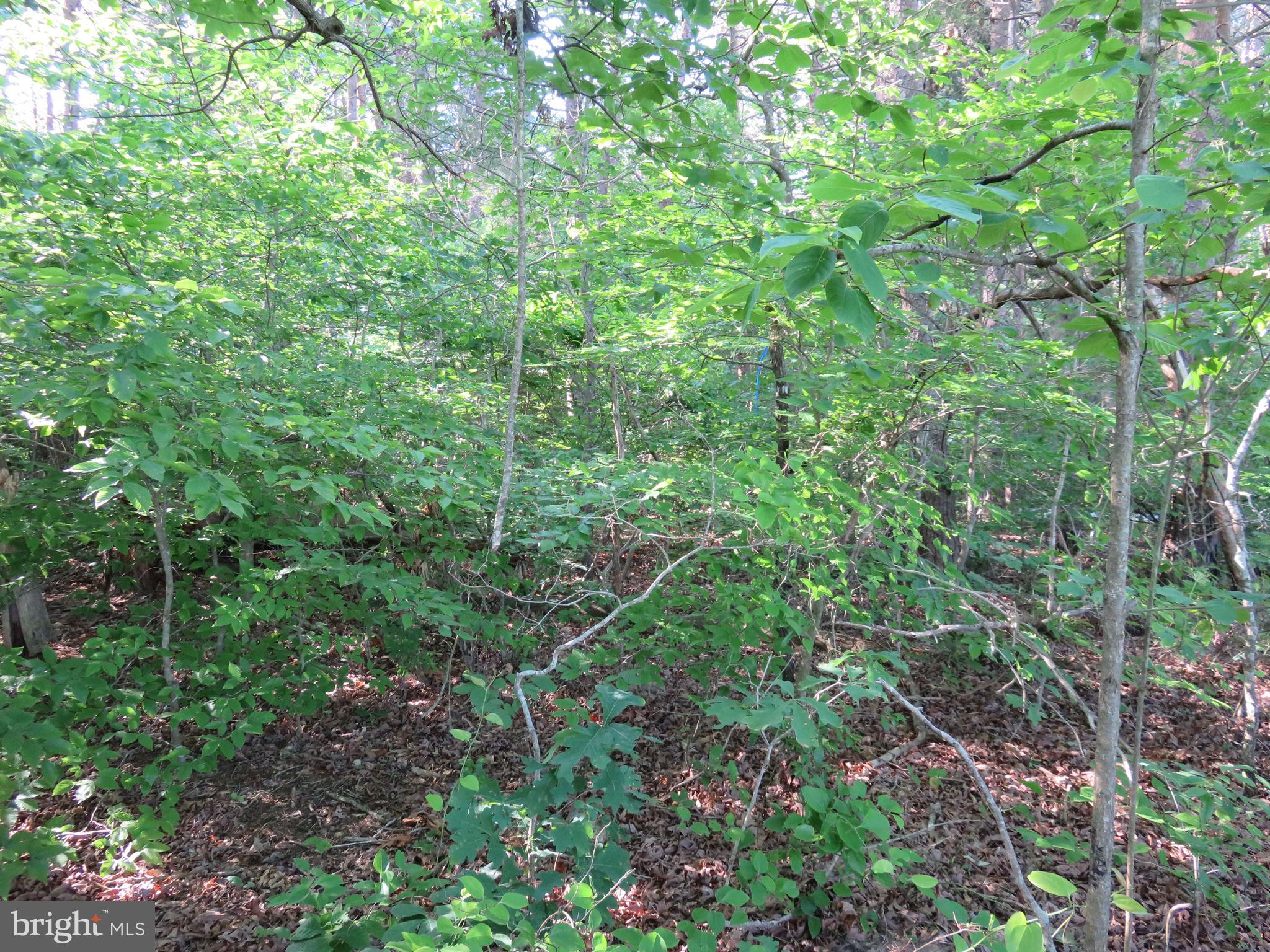 3731 Breaknock Road Bumpass, VA 23024 - Photo 13 of 44 Gallery Image 13