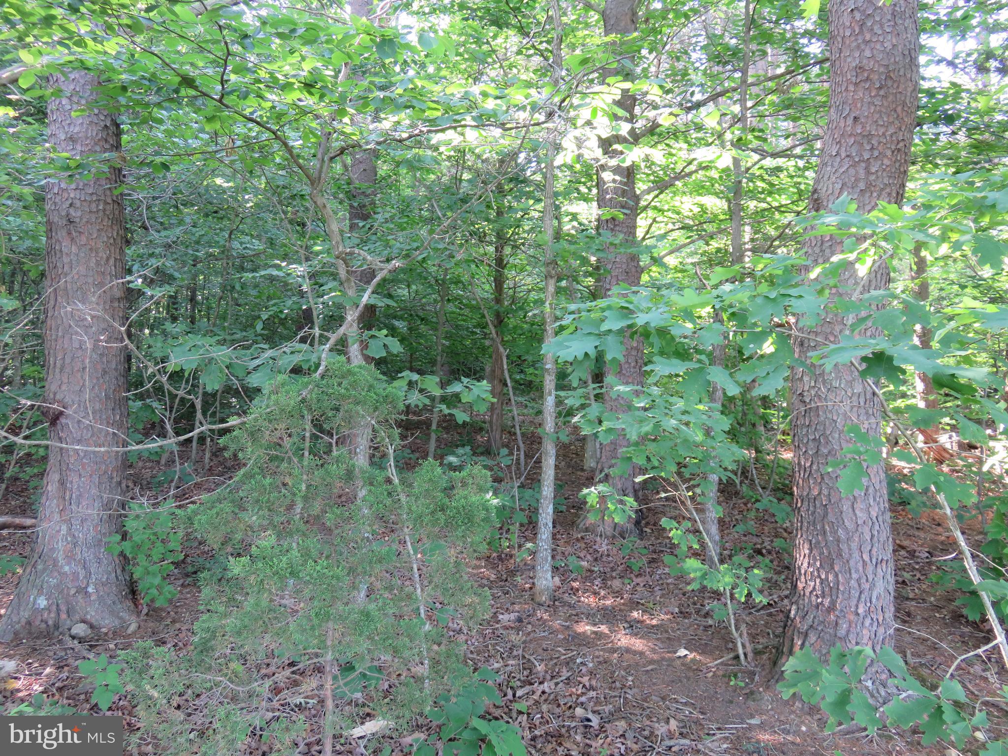 3731 Breaknock Road Bumpass, VA 23024 - Photo 14 of 44 Gallery Image 14